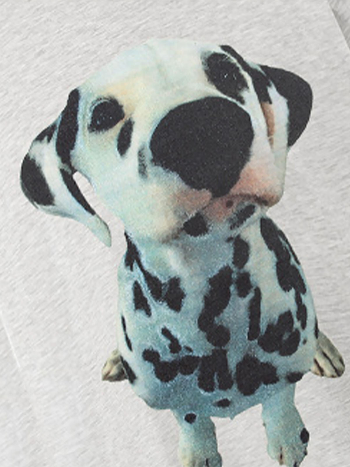 Dalmatian Graphic T-Shirt