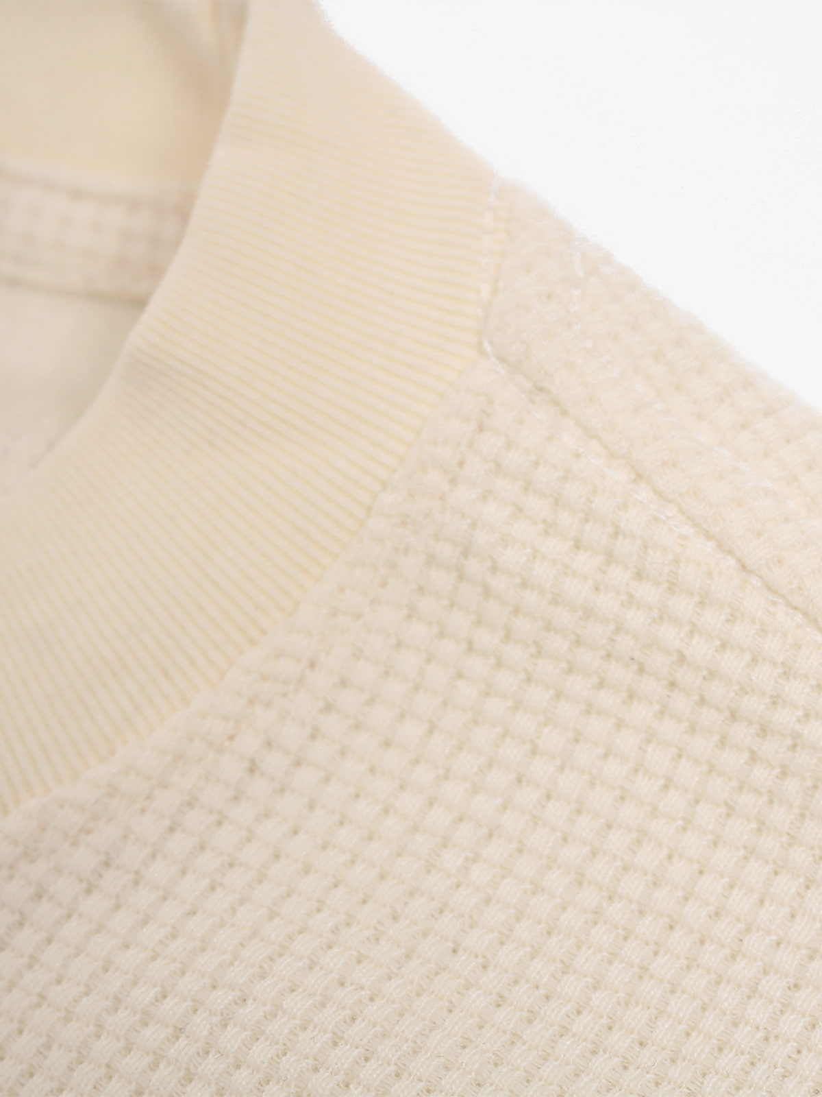 Cotton Oversized Graphic T-Shirt with Dog Print and Bold Text Design 