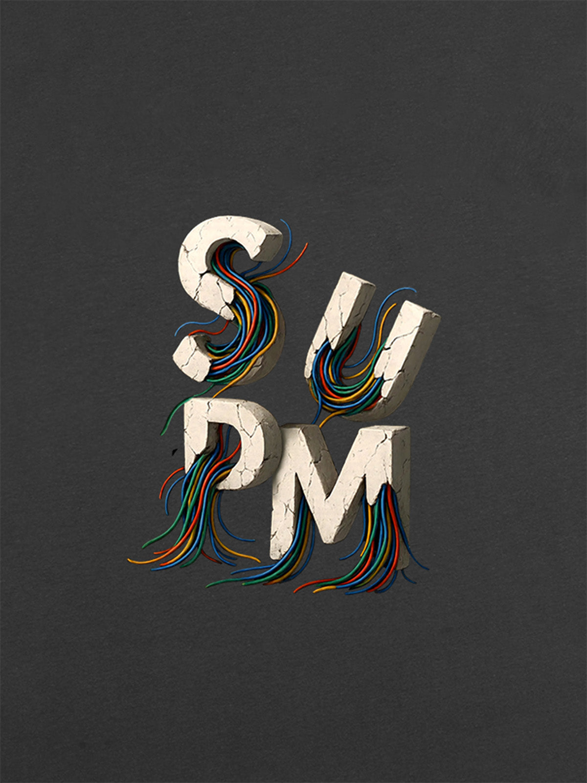 supm cable graphic T-shirt 