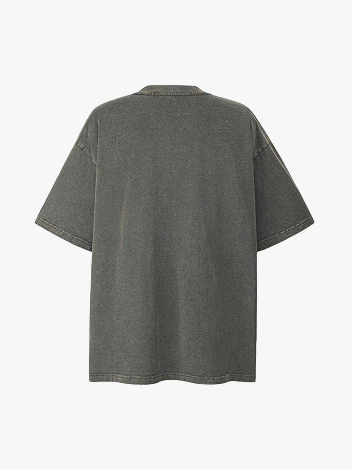 Washed Graphic Crew Neck T-Shirt 