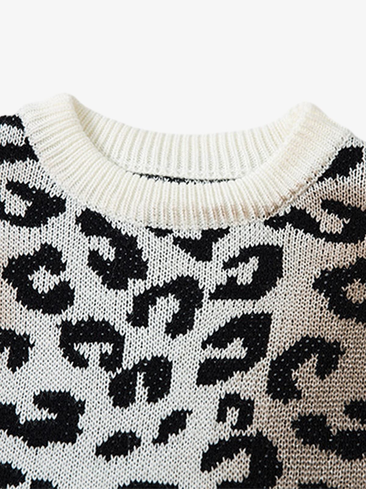 Thesupermade Tie-dye Cheetah Jacquard Sweater 